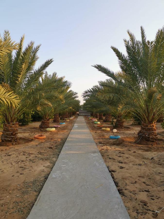 Almazham Camp Resort Al-'Ula Exterior foto