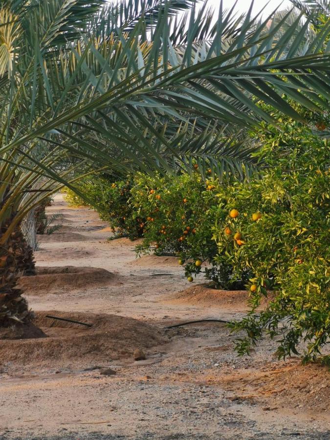 Almazham Camp Resort Al-'Ula Exterior foto