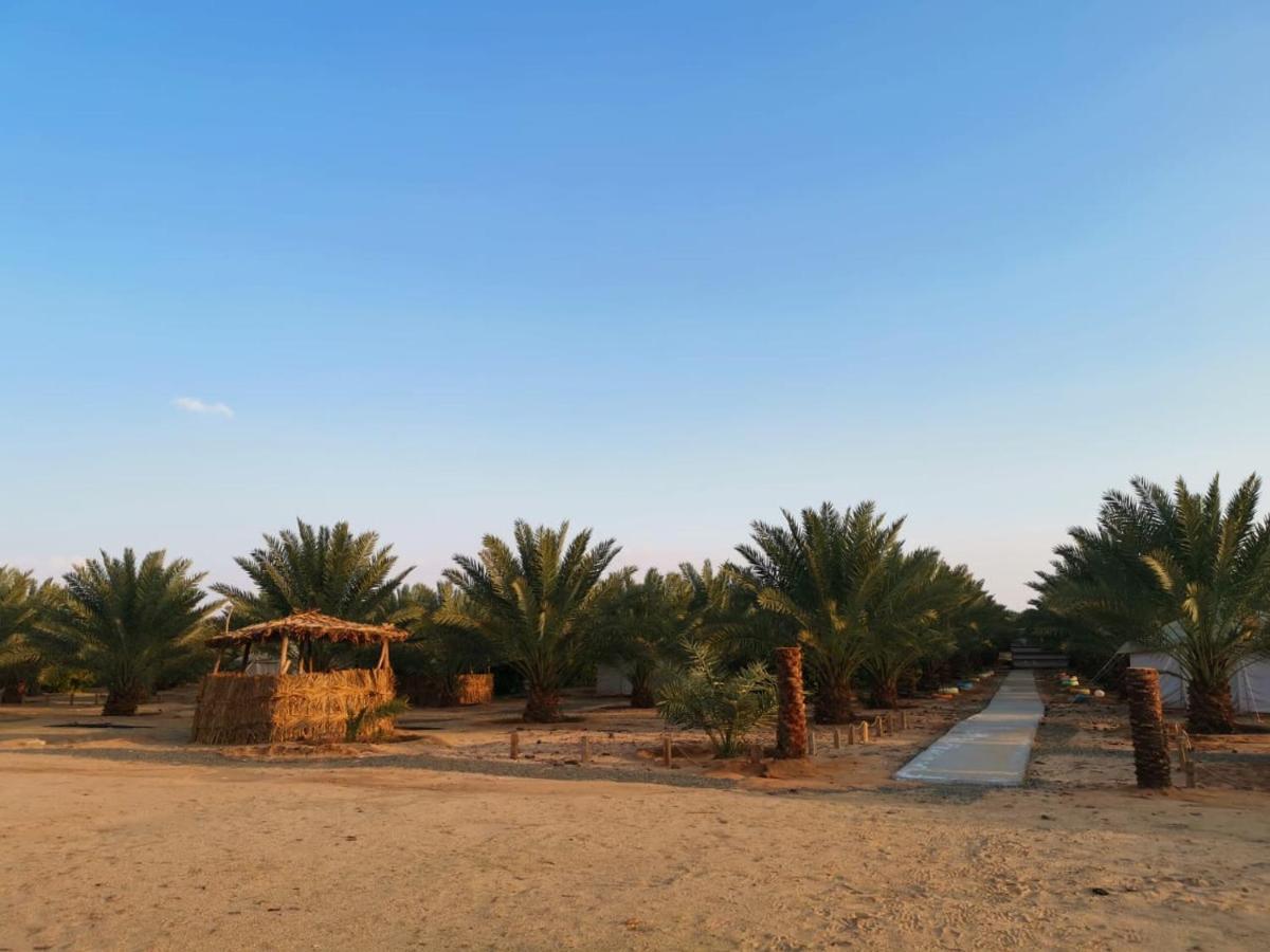 Almazham Camp Resort Al-'Ula Exterior foto